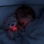 Zazu Medvídek BRODY hnědošedý - sleeptrainer s melodiemi a nočním světlem