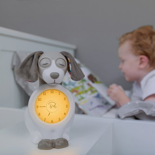 Zazu Pejsek DAVY hnědošedý - tréninkový budík s nočním světlem